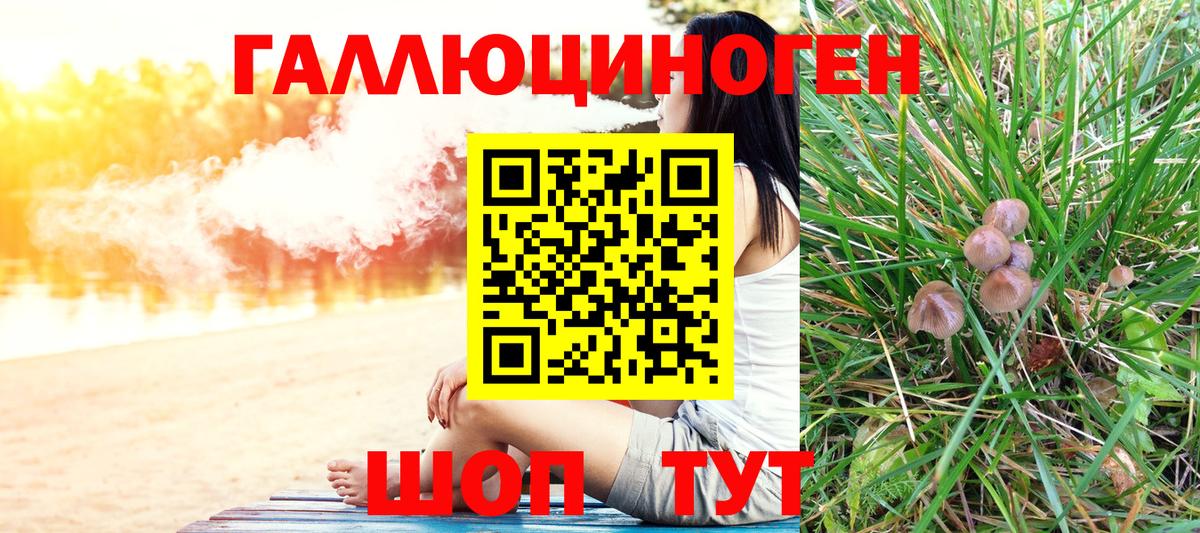 Псилоцибиновые грибы MAGIC MUSHROOMS Чайковский